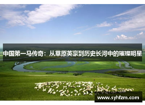中国第一马传奇：从草原英豪到历史长河中的璀璨明星