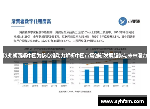 以弗朗西斯中国为核心推动力解析中国市场创新发展趋势与未来潜力