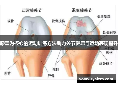 膝盖为核心的运动训练方法助力关节健康与运动表现提升