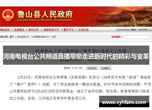河南电视台公共频道直播带您走进新时代的精彩与变革